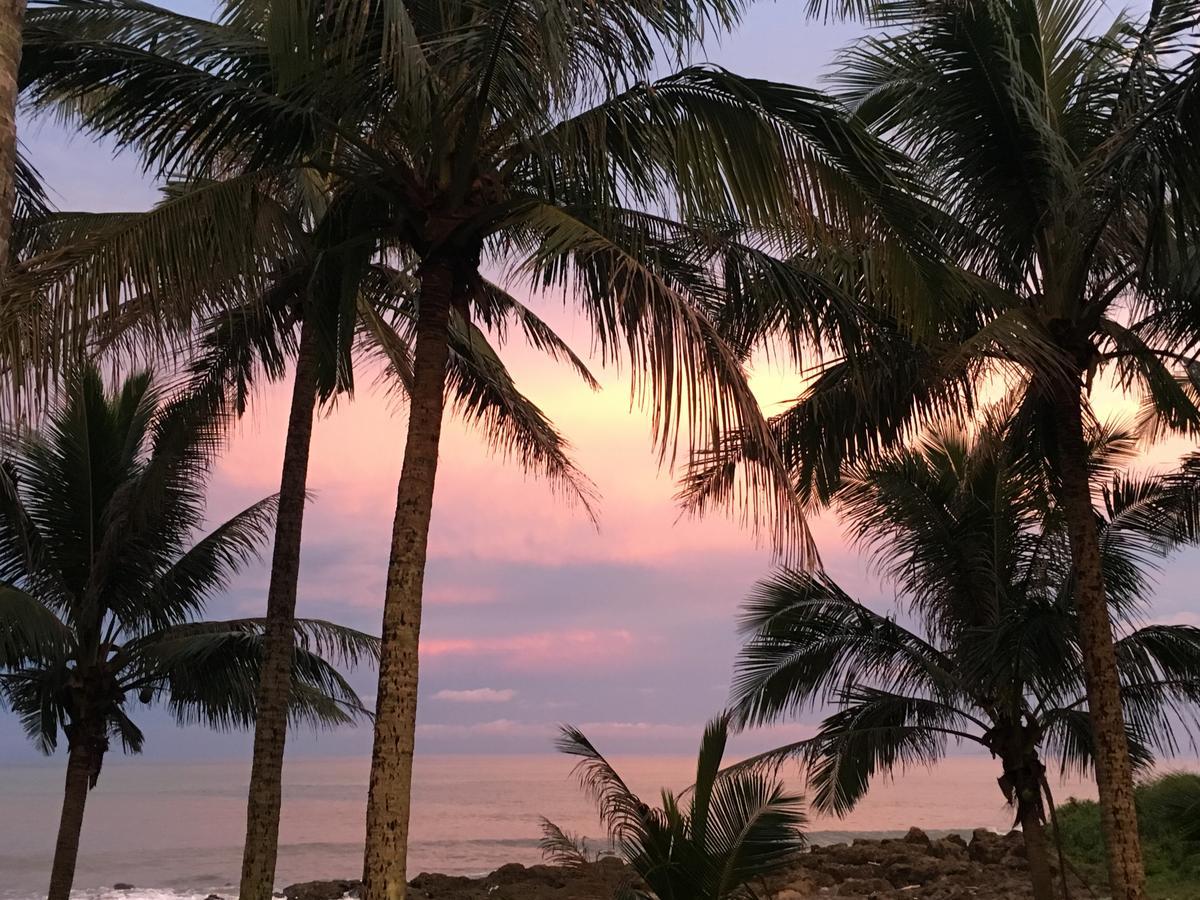 Coconut Beach Homestay Beinan Екстериор снимка